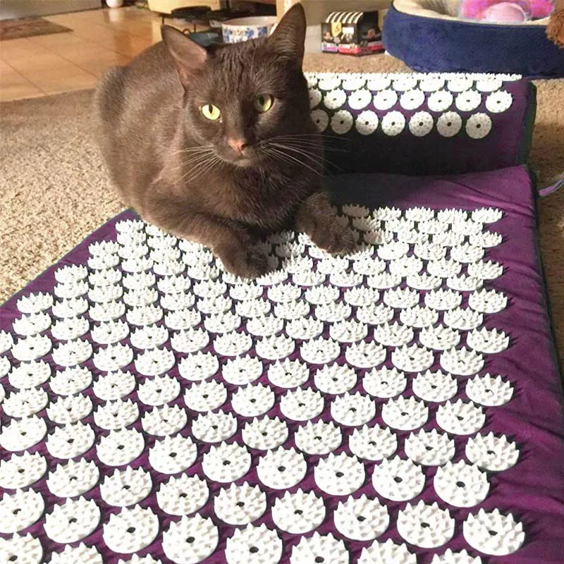 Acupressure Mat