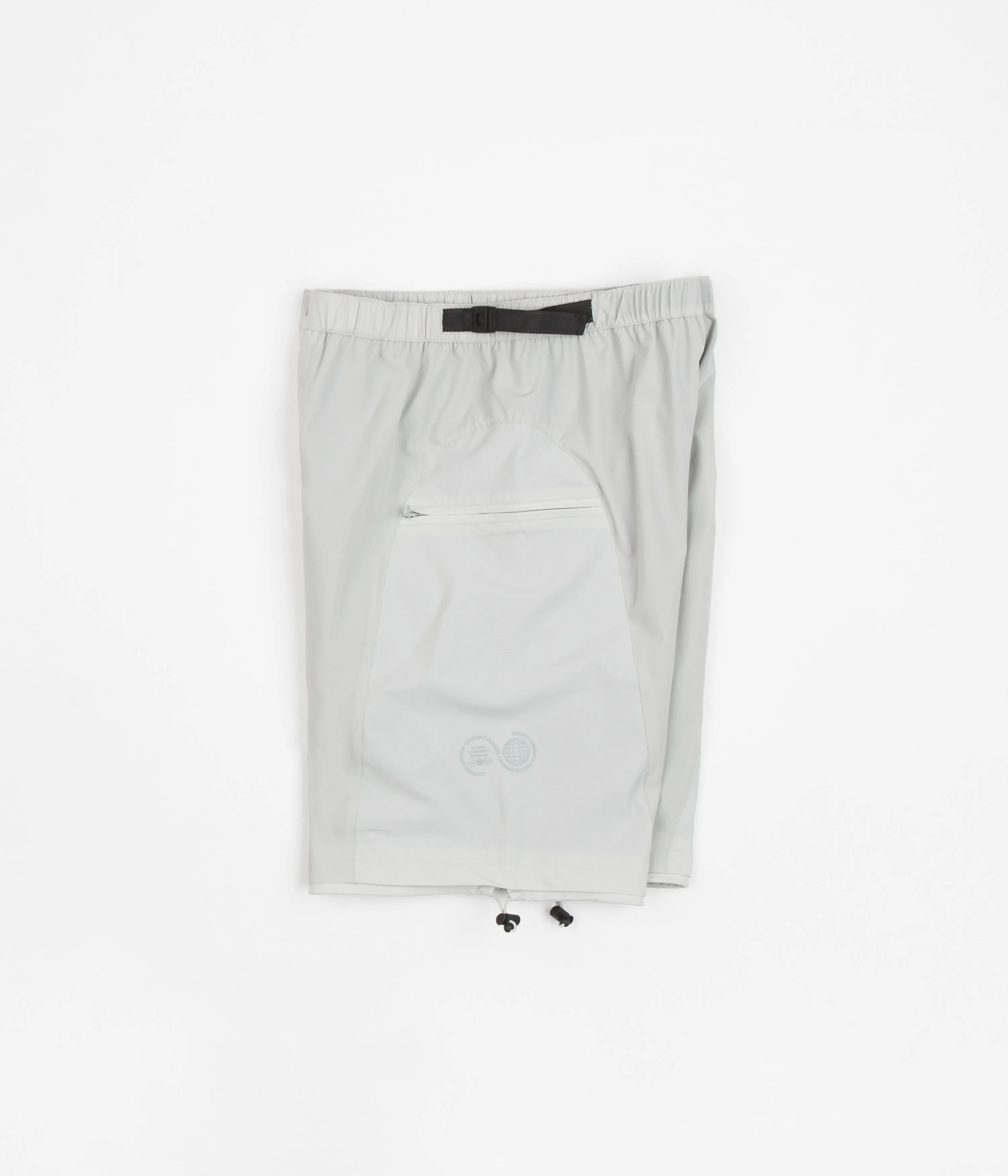 Carrier Goods Expedition Shorts - Celadon Tint