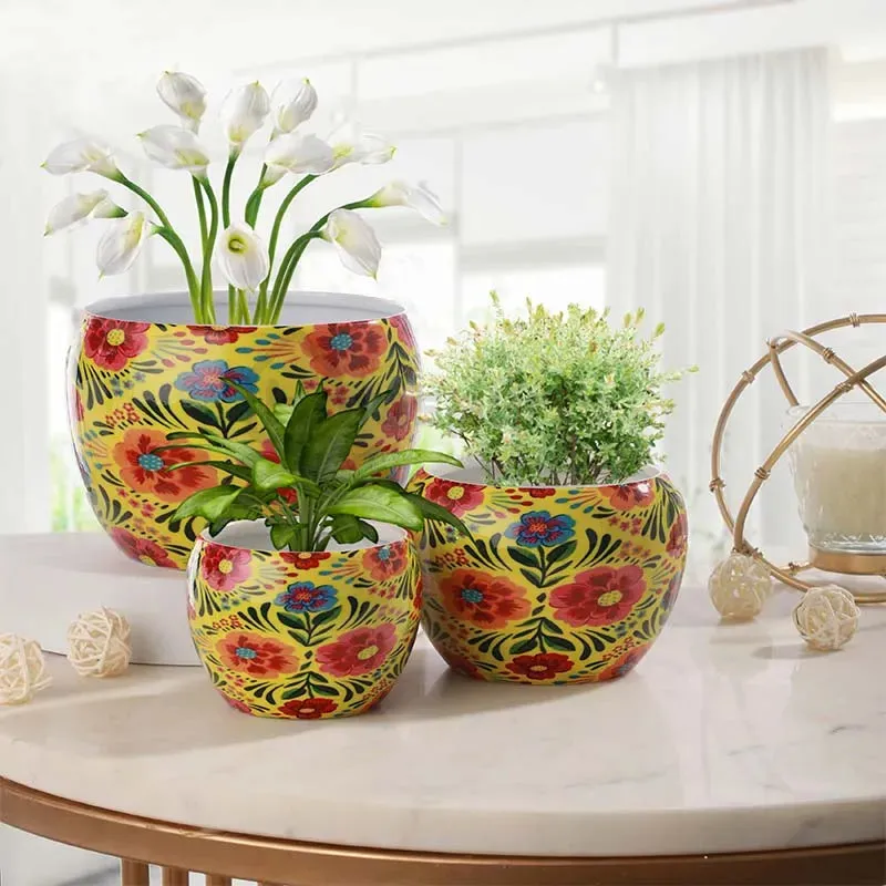 Classic Finished Elegant Table Top Planters | Set of 3 | Plant Not Included