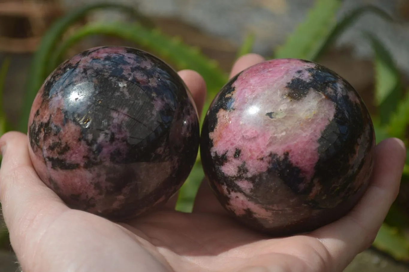 Polished Rhodonite Spheres  x 4 From Madagascar