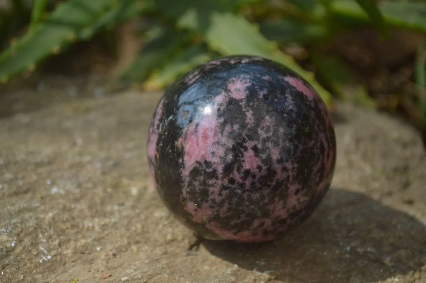 Polished Rhodonite Spheres  x 4 From Madagascar