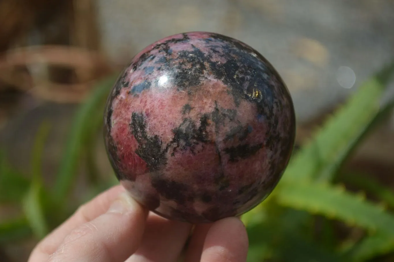 Polished Rhodonite Spheres  x 4 From Madagascar