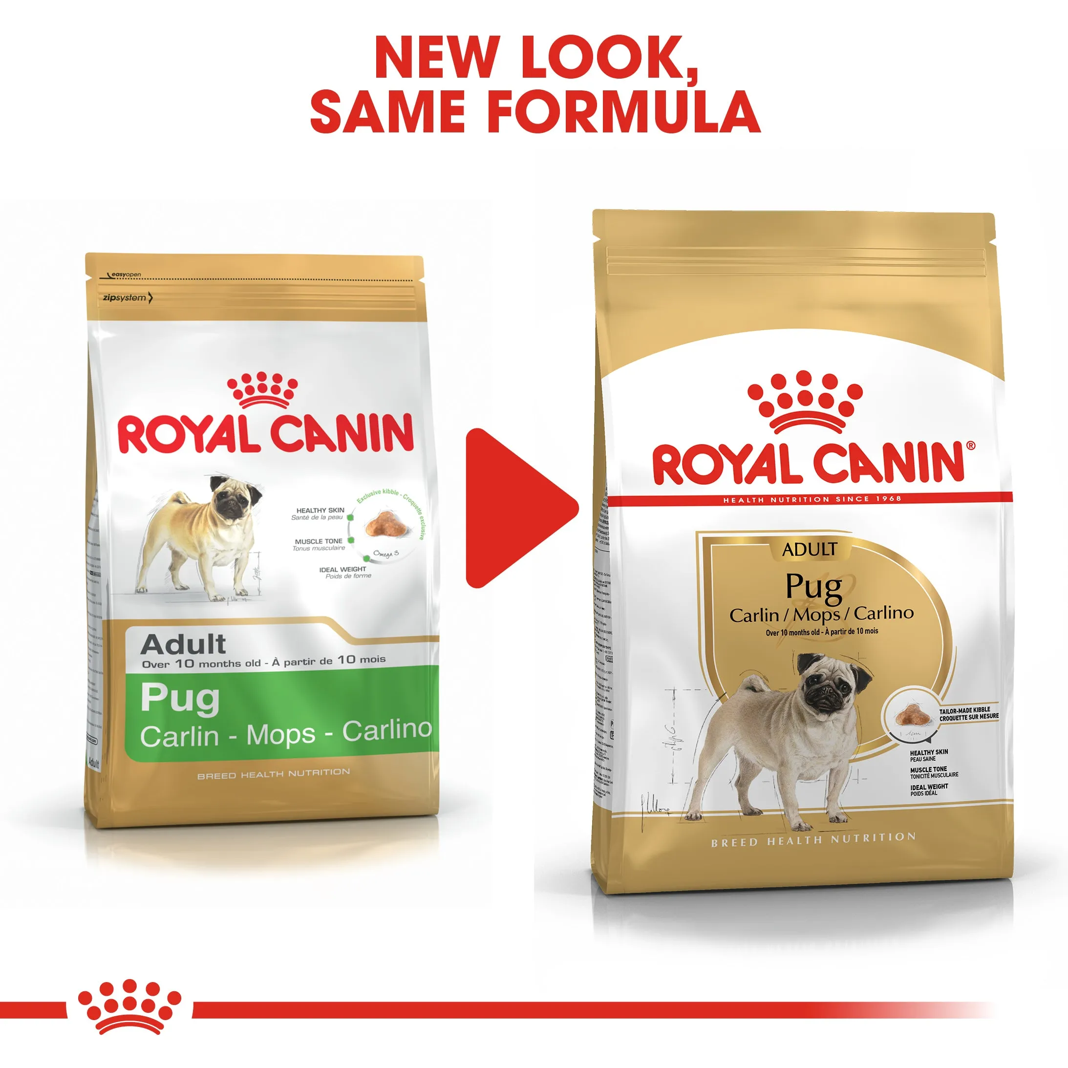 Royal Canin Pug Adult