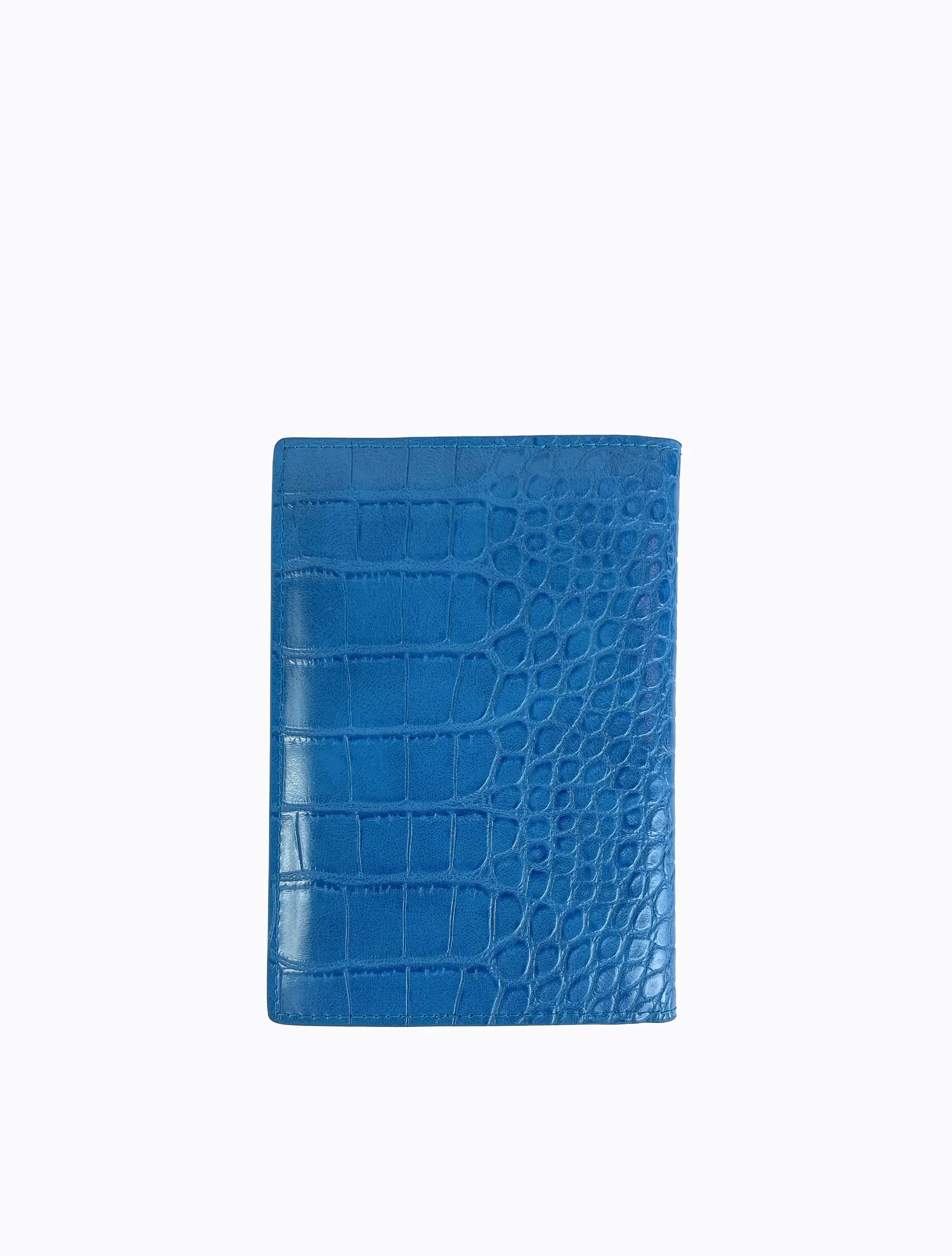 Skip Passport Holder - Electric Blue